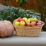 Hemera Massa Lubrense